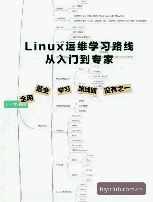 中文版必一娱乐官网收藏夹功能详解：从入门到精通的完整指南